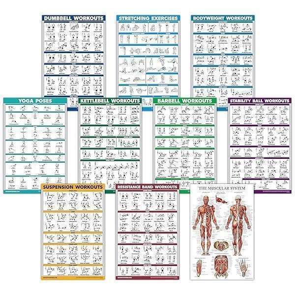"10 Pack Exercise Workout Posters: Dumbbell, Kettlebell, Yoga & More - Laminated 18"x27" Fitness Charts for Home Gym"