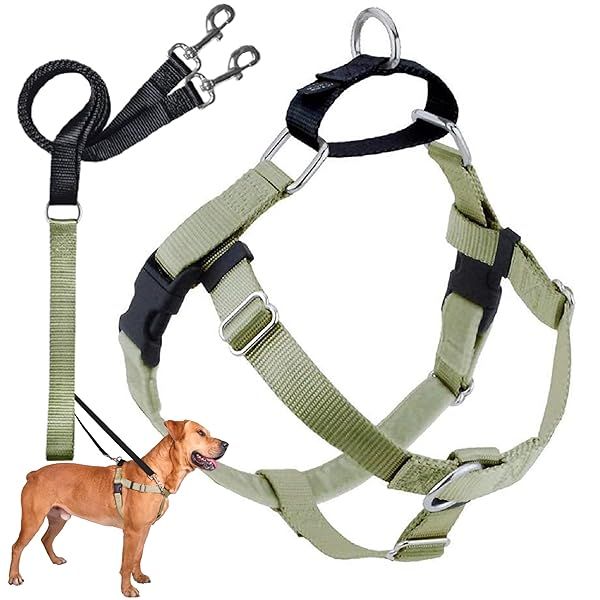 2 Hounds Design Freedom No Pull Dog Harness Adjustable Leash Set Easy Walking Comfortable Control Fits All Dog Sizes Made in USA Tan