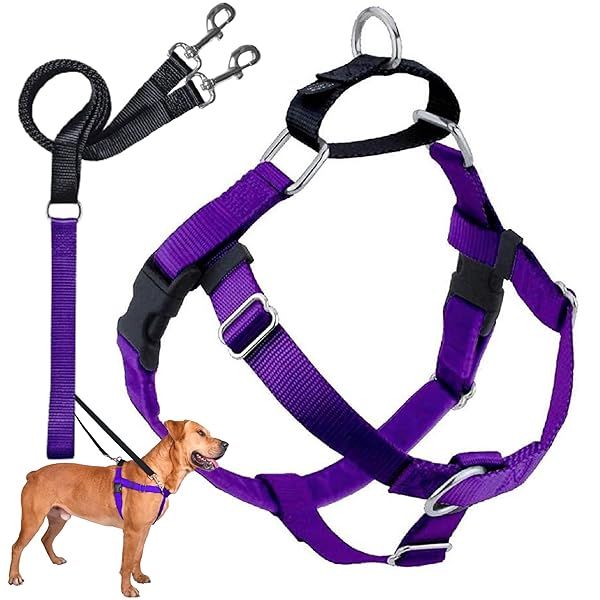 2 Hounds Design Freedom No Pull Dog Harness Adjustable Leash Set for Easy Walking Comfortable Control Fits All Dog Sizes Made in USA Purple