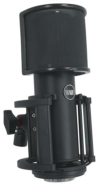 Warm Audio Skylight 512 Large Diaphragm XLR Microphone with Shock Mount & Bag for Studio Recording & Podcasting