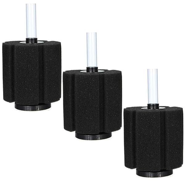 Aquapapa Bio Sponge Filter Air Pump for 10 or 20 Gallon Fish Tank Large 3-Pack Ideal for Breeding Fry Betta and Shrimp