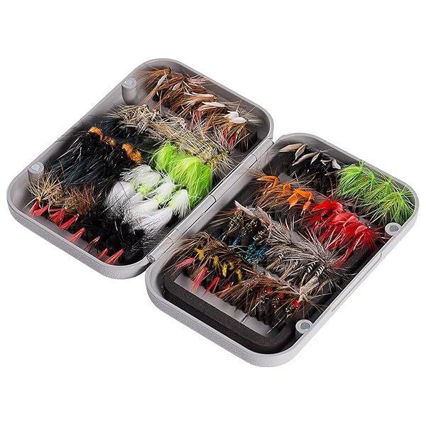 BASSDASH Fly Fishing Assorted Flies Kit 64 pcs Dry Wet Nymphs Streamers Terrestrials Leeches with Magnetic Fly Box
