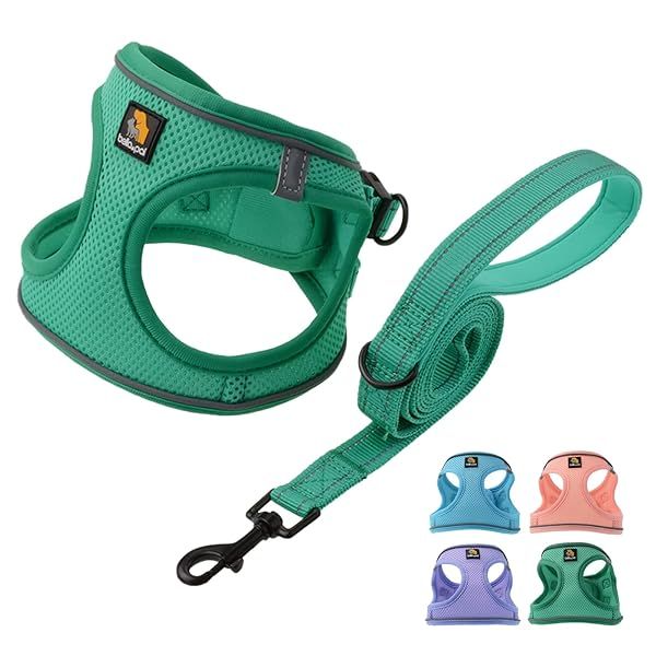 BELLA PAL Small Emerald Dog Harness and Leash Set No Pull Step in Design Reflective Lightweight Mesh S