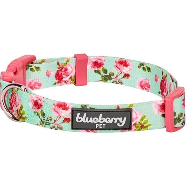 Blueberry Pet Floral Rose Print Turquoise Adjustable Dog Collar for X-Small Dogs Neck 8 to 11 Inches Spring Scent Patterns