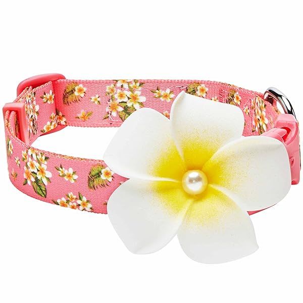 Blueberry Pet Adjustable Large Dog Collar 18"-26" Summer Sparkle Pink with Plumeria Flower for Small Dogs and Puppies