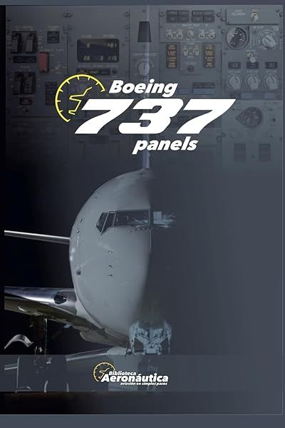 Boeing 737 Panels for Aviation Enthusiasts High Quality and Durable Aircraft Components