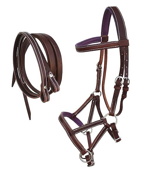 Buy CHALLENGER Purple Bitless Sidepull Bridle & Reins - Western Leather Horse Gear 77RS32PR