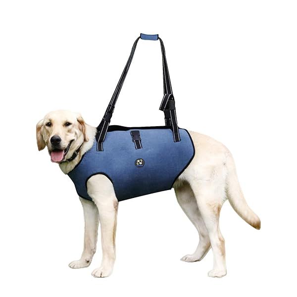 Coodeo Dog Lift Harness Adjustable Padded Sling for Support Rehabilitation of Old Disabled Dogs with Joint Injuries and Arthritis 2XL Blue