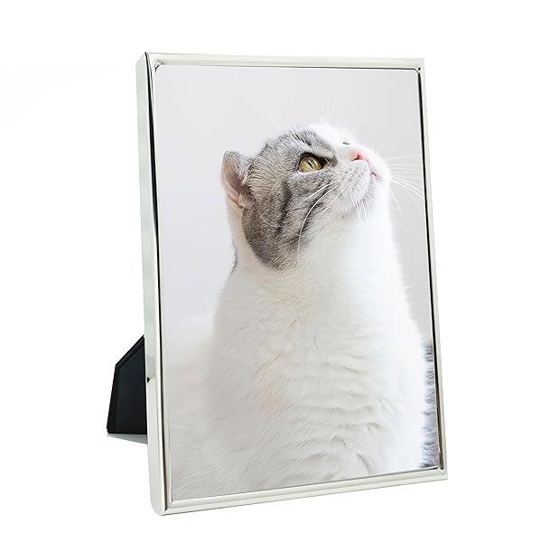 DECANIT 5x7 Picture Frame Metal Thin Profile Photo Frame for Wall or Tabletop Silver Finish