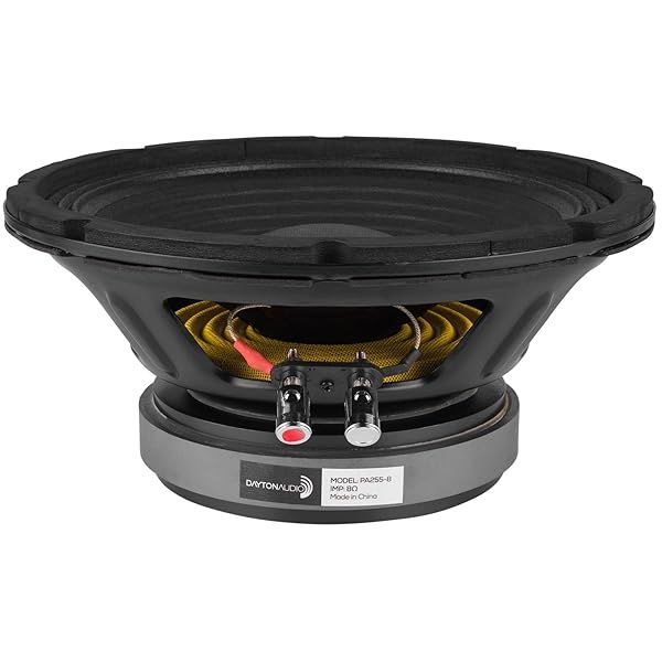 "Dayton Audio PA255-8 10" Pro Woofer Review: Power, Performance & Value"