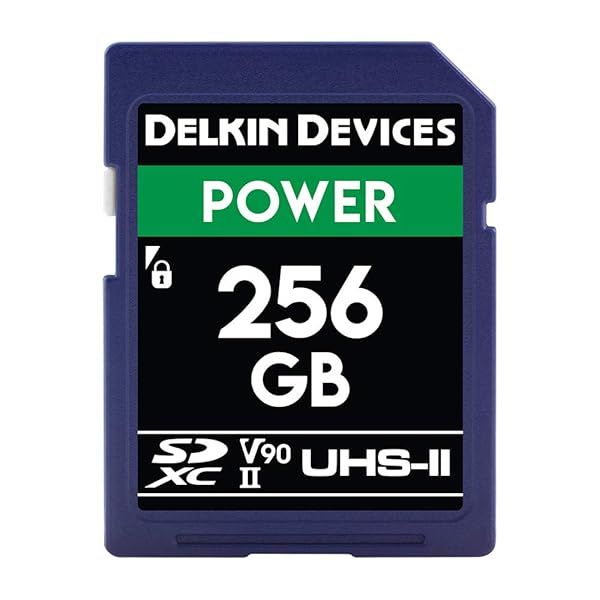 Delkin Devices 256GB UHS-II SD Card - 300MB/s Read, 250MB/s Write for 8K/4K Video | High Performance SDXC Memory Card