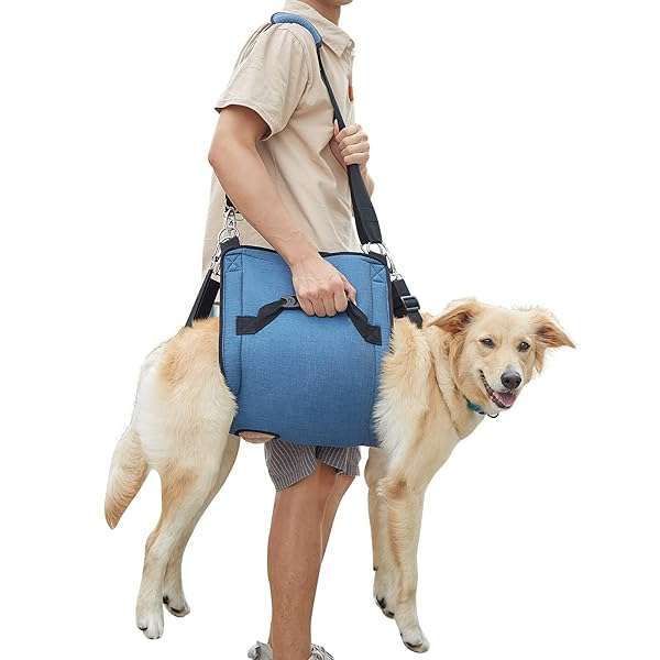 COODEO Dog Carry Sling: Supportive Pet Lift Harness for Senior Dogs & Joint Injuries - Ideal for Nail Trimming & Stairs (2XL, Blue)