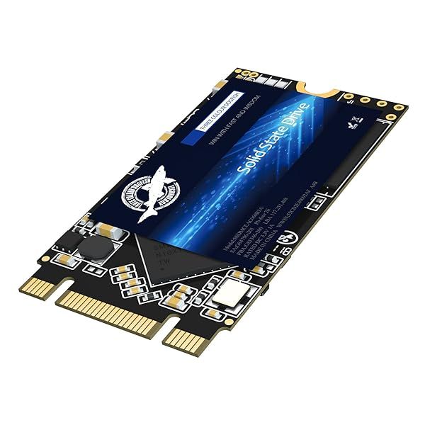 Dogfish 128GB M.2 2242 SSD - High-Speed Internal Solid State Drive for Laptops