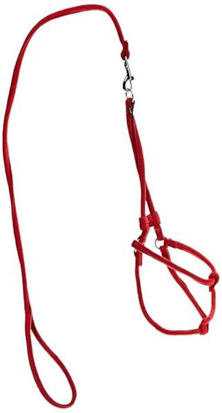 Dogline Soft Padded Microfiber Dog Leash Medium Red 36 Inches for Comfortable Walking
