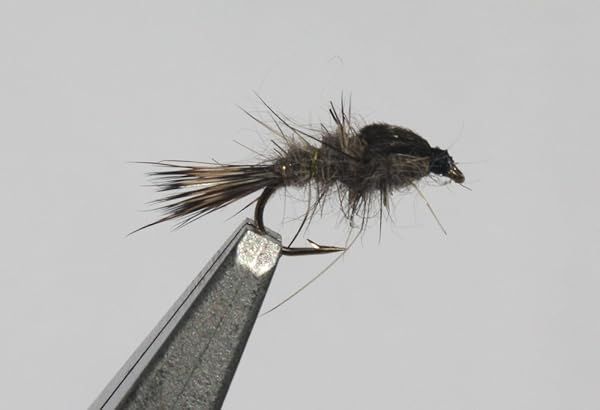 Flies Direct Hares Ear Nymph Assortment - 12 Premium Trout Fishing Flies for Successful Angling