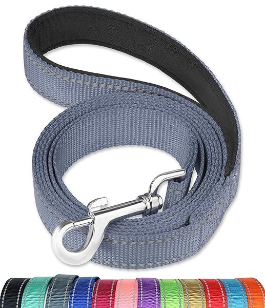 FunTags 6FT Reflective Dog Leash with Padded Handle for Large and Medium Dogs Grey