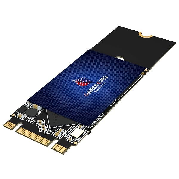 Buy GAMERKING 256GB M.2 2260 SATA III SSD - High Performance Internal Drive for Desktop & Laptop