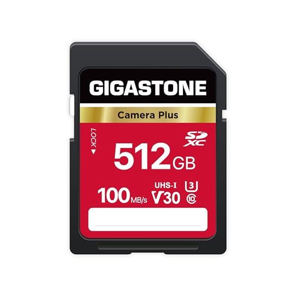 GIGASTONE 512GB SD Card High Speed V30 U3 SDXC for Canon Nikon Sony Pentax Kodak Olympus Panasonic Digital Cameras with Mini Case