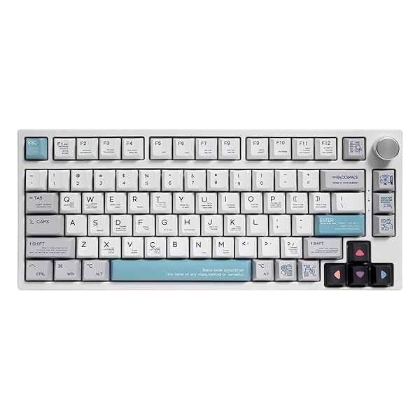 GK GAMAKAY TK75 75% Hot Swap RGB Bluetooth 5.0 2.4GHz Wireless USB-C Wired Mechanical Keyboard with Knob Control, PBT Cherry Profile Keycaps Gaming