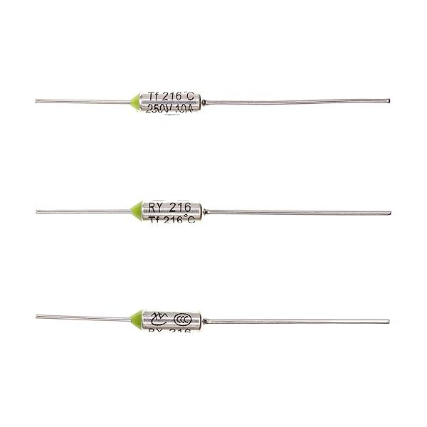 HUABAN 10 Pieces Metal Temperature Thermal Fuse RY216 216 ? 420.8 ? 10A 250V