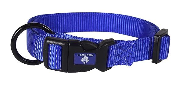 "Shop Hamilton Adjustable Nylon Dog Collar - Blue, 3/4" x 16-22" | Durable & Stylish Pet Accessory"