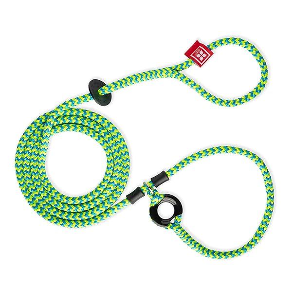 No Pull Dog Harness and Leash Set Cushioned Rope Anti Escape Design Small Medium Peacock Blue Lime