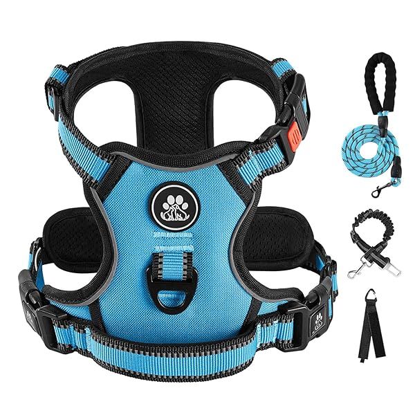 IVY&LANE No Pull Dog Harness for Medium Dogs Adjustable Vest with Leash and Safety Belt Reflective Strip Soft Handle Blue M