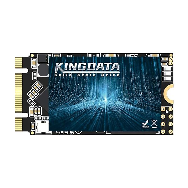 KINGDATA 64GB M.2 2242 SSD High-Performance Internal Solid State Drive for Desktop and Laptop SATA III 6Gb/s