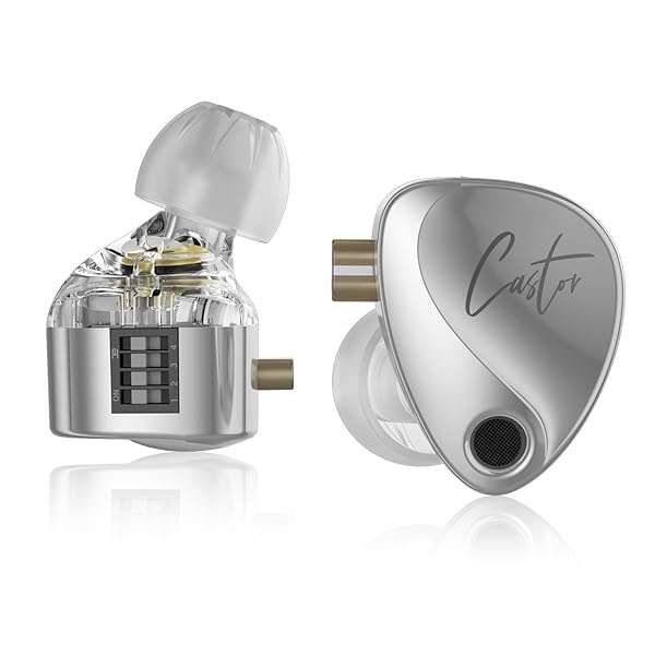 Buy KZ Castor HiFi 2DD Dynamic IEM Earphones - Tunable In-Ear Monitors for Musicians & DJs (Silver, Detachable Cable)