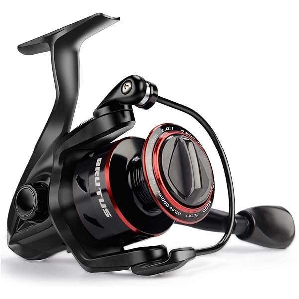 Top KastKing Brutus 4000 Spinning Reel Review: Best Fishing Gear for Anglers