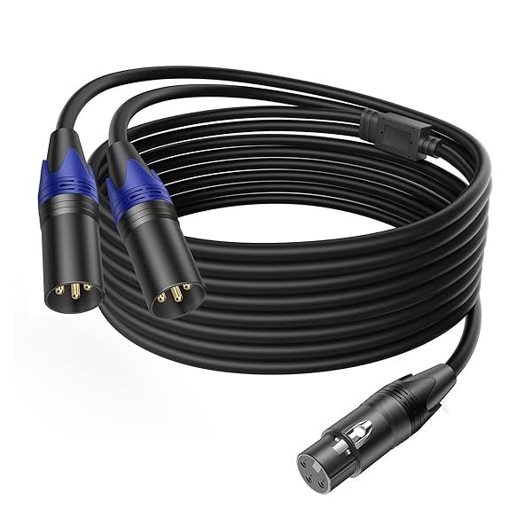 LanSenSu XLR Female to 2 XLR Male Patch Y Cable - 10ft Balanced Microphone Splitter Cord Audio Adaptor (1Pack)