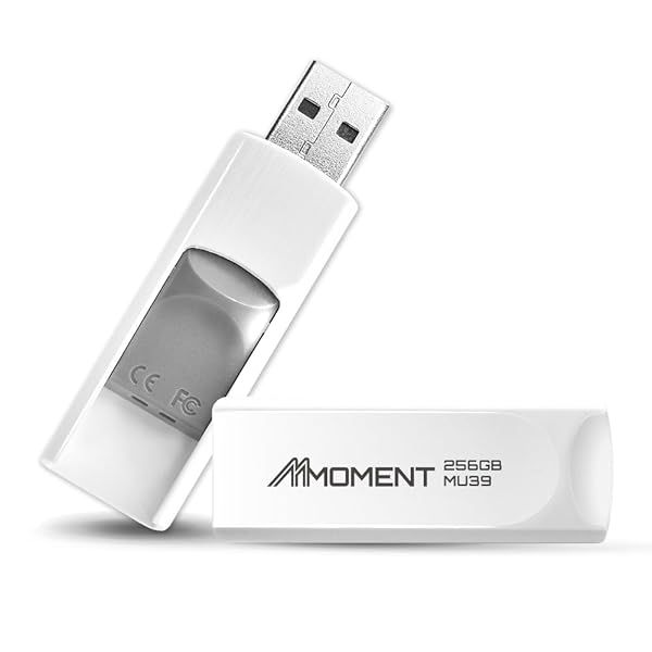 MMOMENT MU39 256GB USB 3.1 Flash Drive - 100MB/s Speed & Retractable Design for Easy Storage