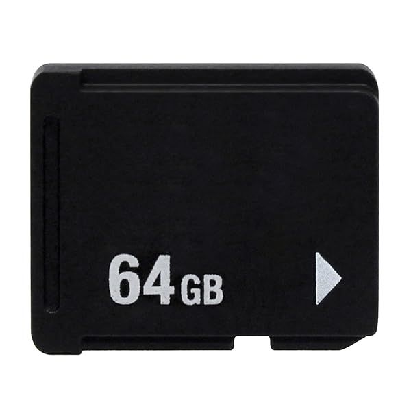 OSTENT 64GB Memory Card for Sony PS Vita PSV1000 PSV2000 PCH-Z041 PCH-Z081 PCH-Z161 PCH-Z321 PCH-Z641 Storage Solution