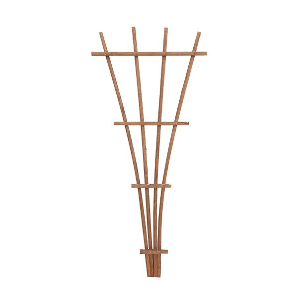 "Panacea 83737 48" Brown Wood Fan Trellis - Stylish Garden Decor & Support for Climbing Plants"