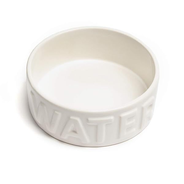Park Life Designs Classic White Pet Bowl for Small Dogs and Cats