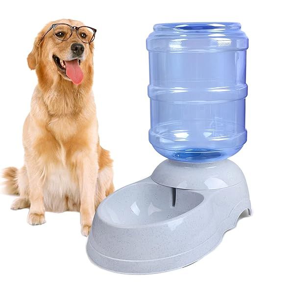 3 Gallon Pet Water Dispenser Station - Automatic Gravity Waterer for Large Dogs & Cats