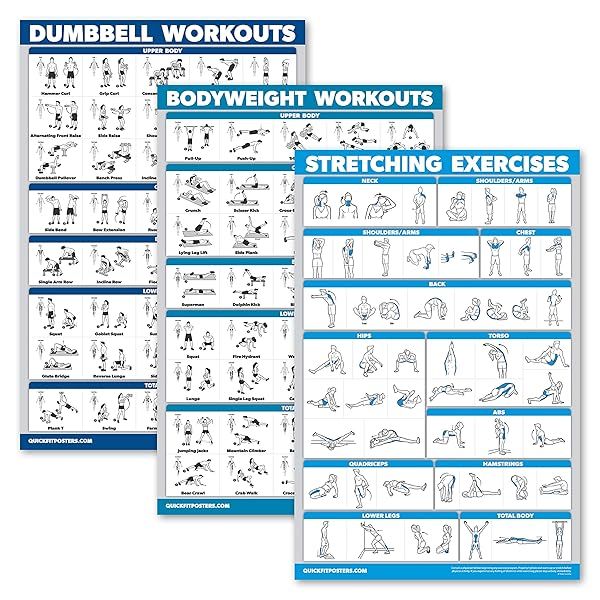 "QuickFit 3 Pack: Laminated Dumbbell, Bodyweight & Stretching Workout Posters - 18"x24" Charts for Effective Home Fitness"
