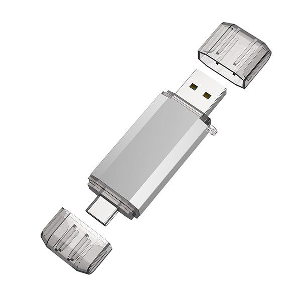 RAOYI 32GB USB C Flash Drive 2 in 1 USB 3.0 Type C Dual OTG Metal Thumb Drive for Smartphones MacBook Computers and Tablets Silver