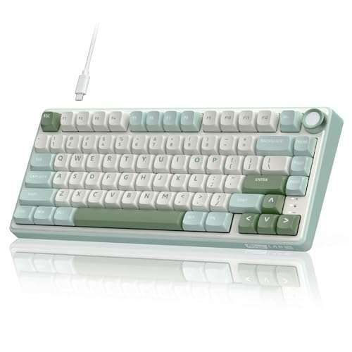 RK Royal Kludge R75 Mechanical Keyboard: 75% Custom Gaming, RGB Backlit, Hot Swappable, PBT Keycaps & Volume Knob