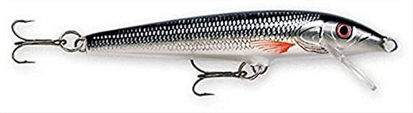 Rapala