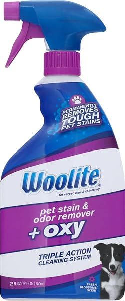 Reckitt Benckiser Woolite Pet Stain Remover 22 oz - Effective Solution for Tough Pet Stains