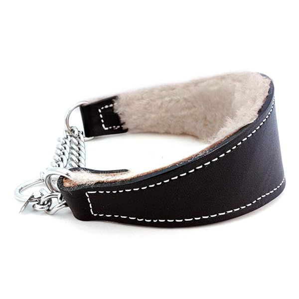 Sheepskin Lined Leather Martingale Dog Collar 1.75 Inch Wide 14 Inch Black Durable Comfortable Design