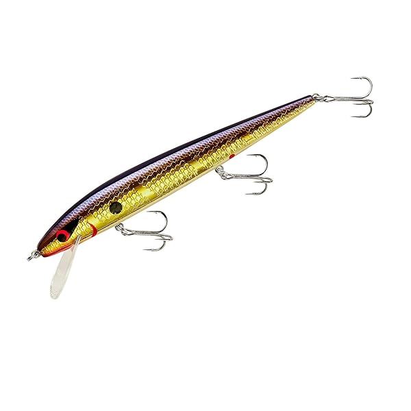 "Smithwick Prfct 10 Rogue-Sour Grape Lure - 5.5", 5/8 oz | Top Fishing Gear for Anglers"