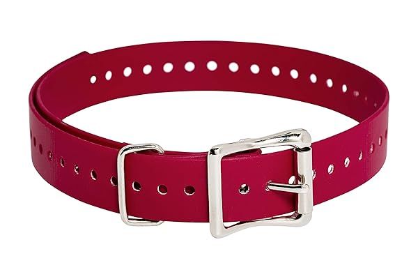 SportDOG Brand 1 Inch Waterproof Rustproof Collar Straps with Tightly Spaced Holes for Perfect Fit Red