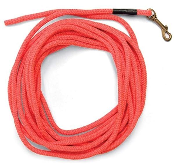 SportDOG 30ft Orange Check Cord - Lightweight, Strong, Floats & Highly Visible Training Tool for Dogs