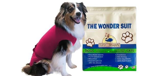SurgiSnuggly Dog Diapers for Small Dogs Female or Male Made with American Textile XS Pink Perfect for Dogs 5 Pounds and Under