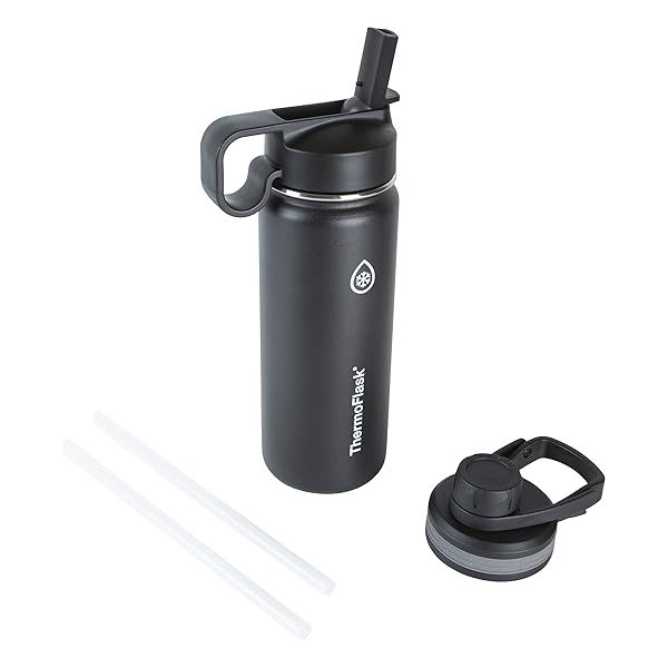 ThermoFlask 18 oz Insulated Stainless Steel Water Bottle with Spout & Straw - Black