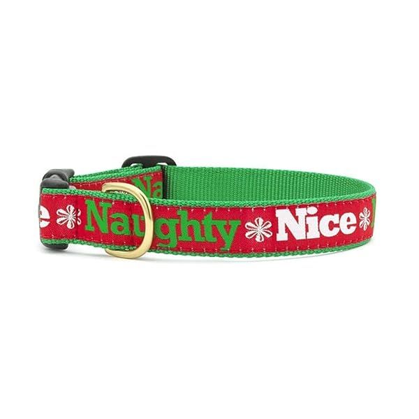 Up Country Naughty and Nice Dog Collar Narrow 5/8 Inch Lightweight 200g Perfect for Stylish Pets