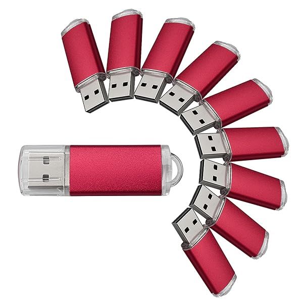VICFUN 10 Pack 2GB USB Flash Drives USB 2.0 Memory Stick Red High Speed Storage Solution
