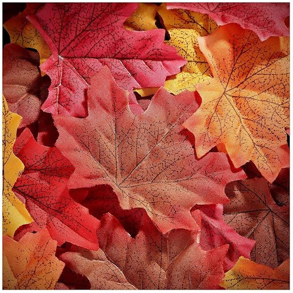 Whaline 300-Piece Artificial Autumn Maple Leaves for Weddings, Scrapbooking & Thanksgiving Decor